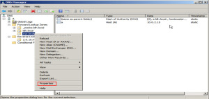 Training to Install Domain Name System (DNS) In Windows Server 2008 properties 21